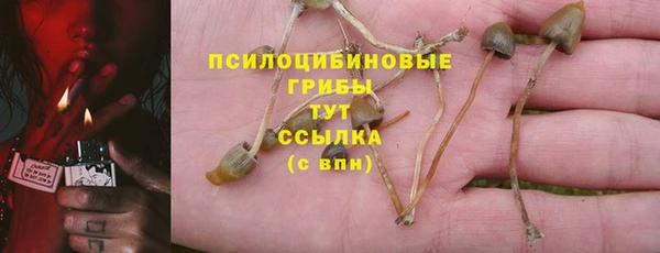 прущий лед Куйбышев