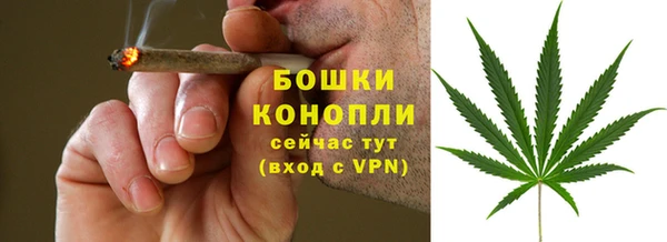 амф Коряжма