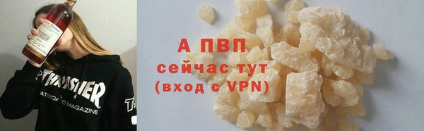 дживик Корсаков