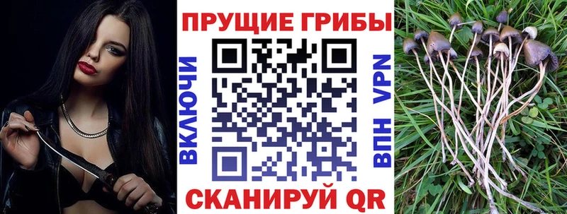 MEGA ссылки  Краснозаводск  Псилоцибиновые грибы GOLDEN TEACHER 